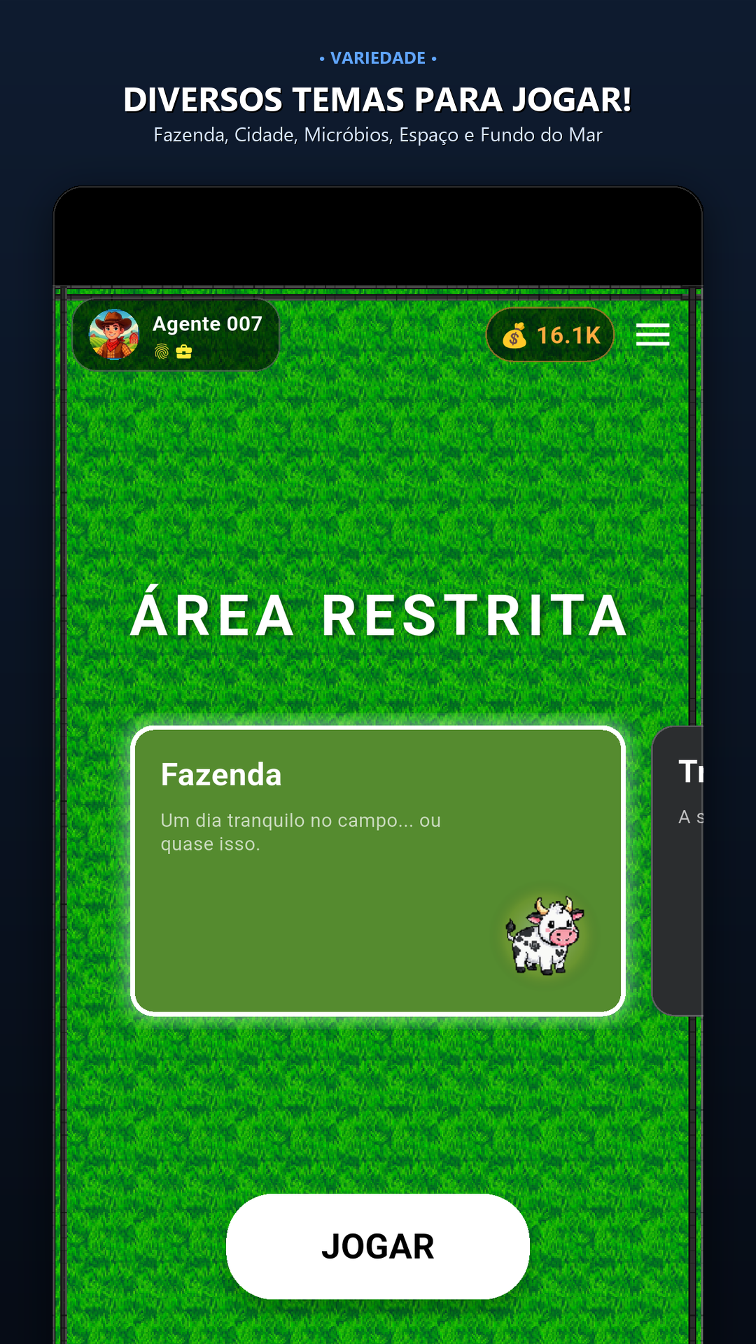 Área Restrita - Diversos Temas Visuais